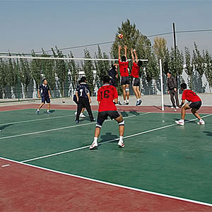 其它排球場 Volleyball court