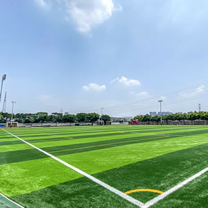 其它足球場 Football field